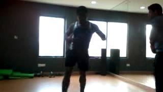 Nisar Kick Boxing Padding