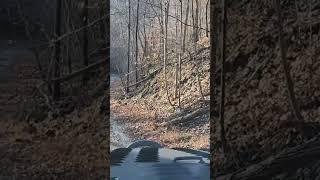 Riding the Trails at Bearwallow Black Friday weekend 2022. #offroad  #HatfieldMcCoyTrails #WV