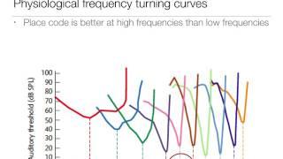 Perception:  9.3 neural representation