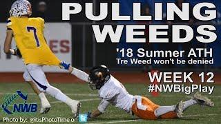 Tre Weed '18 ATH Sumner (WA) - WEEK 12 #NWBigPlay