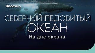 Северный Ледовитый океан: полярная бездна | На дне океана | Discovery