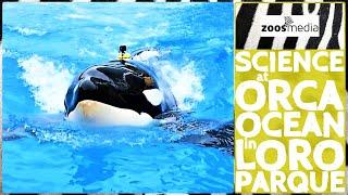 Loro Parque: Science with ORCAS | zoos.media