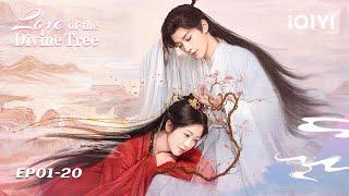Binge watching: Deng Wei & Xiang Hanzhi Defy Fate ｜Love of the Divine Tree | iQIYI Romance