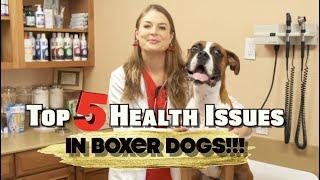 Top 5 Boxer dog Health Issues! | MUST WATCH