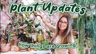 Monthly Plant Updates | Changes in the Collection Both Good and Bad | Walk in the Garden