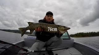 Active Target The bigger pike didn’t want to taste the bait so I found another smaller one