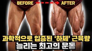 근전도검사로 알아보는 부위별 가장 효과적인 하체근육운동 (논문, 대퇴사두근, 햄스트링, 비복근, 종아리 근육, 엉덩이, 둔근)