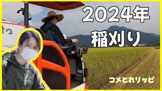 【2024年】稲刈り！