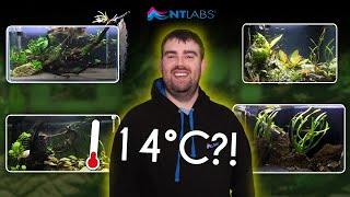 UNHEATED Fish Tank?! | ALL of Tom Ackrill’s AQUASCAPES | Scape Tour | NT Labs