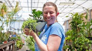 High Desert Succulents with Angela Turner