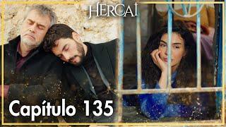 Hercai - Capítulo 135
