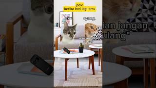 Pernah ngalamin gak? #meme #kucing  #cat #memekucing