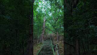 Natural view #Natural village life rina