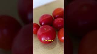 Срочно достаньте помидоры из холодильника! Сейчас расскажу почему!