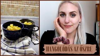 hangolódás az őszre | napi vlog | Bakai Boglárka