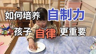 【博士育儿】如何培养孩子的自制力？为什么自律的早教很重要？理论+实践教会你锻炼孩子自制力的2个小技巧