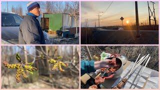 Норильск/ Тундра зеленеет/ Полярный день.