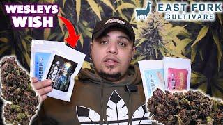 Finally Trying East Fork Cultivars Flower | CBD Hemp Flower Review