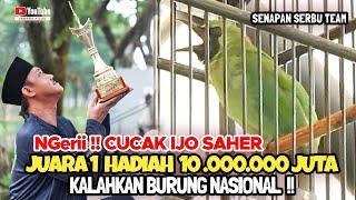 NGerii !! CUCAK IJO SAHER JUARA 1 HADIAH 10 JUTA  KALAHKAN BURUNG NASIONAL BONGKAR RAHASIA JUARA 