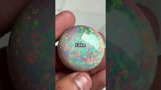 Real Vs Fake Opal #shorts #crystals #opal #crystalsdotcom #crystalsdotcom #crystals