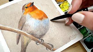 Painting a Robin Bird: Simple & Relaxing Watercolor Tutorial