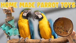 DIY PARROT TOYS | TWO EASY PARROT ENRICHMENT IDEAS YOU CAN TRY AT HOME | WORLD PARROT TRUST