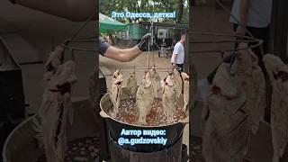 Одесса Фестиваль жареных карасей и мидий Grill Park Одеса #одесса #привоз #привозодесса #shorts