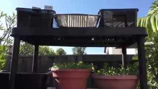 How To Grow Vertically - Vertical Gardening Made Easy - Small Space Vegetable Garden