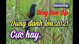 Tiếng bìm bịp hay dùng  bẫy loa.Chim kêu.GỌI.THÚC.ĐẤU,chim rừng,#Đăng Ký Kênh Để Không bỏ Clip sau .