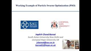 Working Example of Particle Swarm Optimization (PSO)