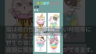 【雑学】ネコ雑学クイズ3 #猫の知識 #動物 #習性 #秘密 #猫好きな人と繋がりたい