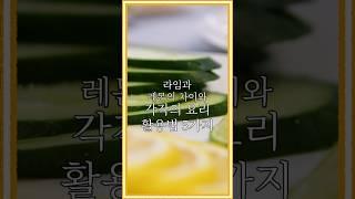 라임과 레몬의 차이와 각각의 요리 활용법 5가지