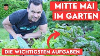 Gartenarbeiten Mitte Mai - Auspflanzen, Ernten, Hochbeet, Gemüse und Blumenbeete