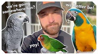 Dave takes the flock to the vet!