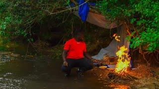 solo camping in the jungle surviving in the forest cooking and river asmr (bushcraft camping)