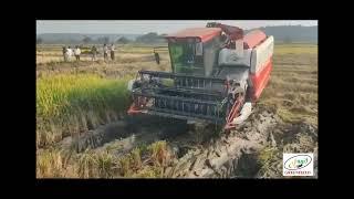 COMBINE HARVESTER | RUBBER TRACKPAD COMBINE HARVESTER | GREENFIELD AGRO IMPEX