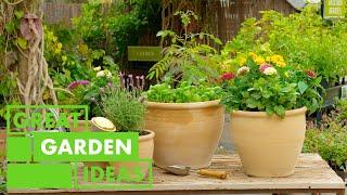 Heirloom Tomatoes | GARDEN | Great Home Ideas