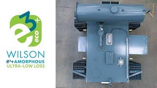 The E3+ Ultra Low Loss Amorphous Transformer from Wilson Power Solutions.