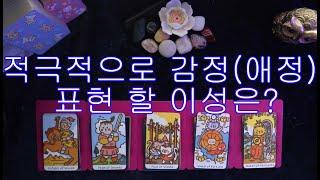 [타로/tarot] 적극적으로 감정(애정) 표현 할 이성은?