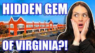 ALL ABOUT Living In Ashburn Virginia 2023 | Moving To Loudoun County Virginia | Northern VA Homes