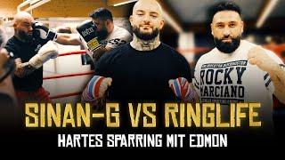 SINAN-G VS RINGLIFE  HARTES SPARRING mit EDMON! 