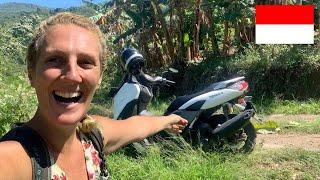 DRIVING SOLO Across Flores, INDONESIA