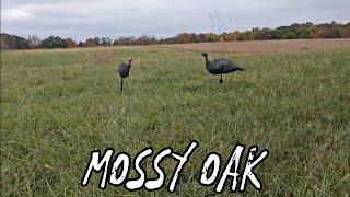 2thePoint Test & Review: Mossy Oak Turkey Decoys - Upright Hen & Upright Jake