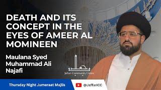 Death and its concept in the eyes of Ameer al Momineen - Maulana Syed Muhammad Ali Najafi