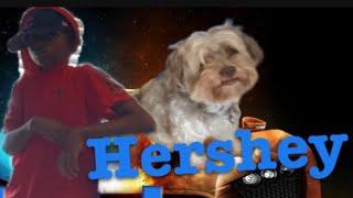 Hershey  (official short film)