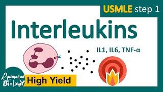 Interleukins and its role in immune system | Interleukin function