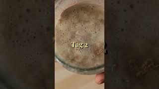 SUPERSCHNELL Sauerteig ansetzen. In 3 Tagen zum eigenen Anstellgut. Einfach, bequem, unkompliziert!