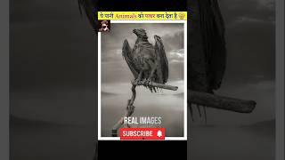 ये पानी Animals को पत्थर बना देती है। #shorts #shortvideo