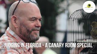 Judging Canaries in Florida - A Canary Room Special