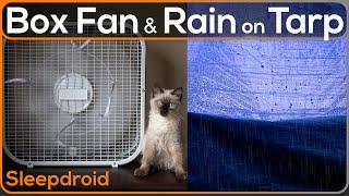 ►Box Fan (Medium Speed) and Rain on a Tarp with Thunder Sounds for Sleeping, Fan Noise and Rain